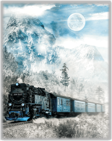 Nadruk Snow train - Przód